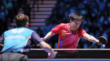 范登贝尔赫 范登贝尔赫